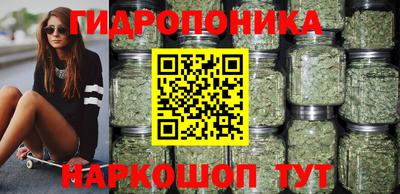 скорость Новодвинск