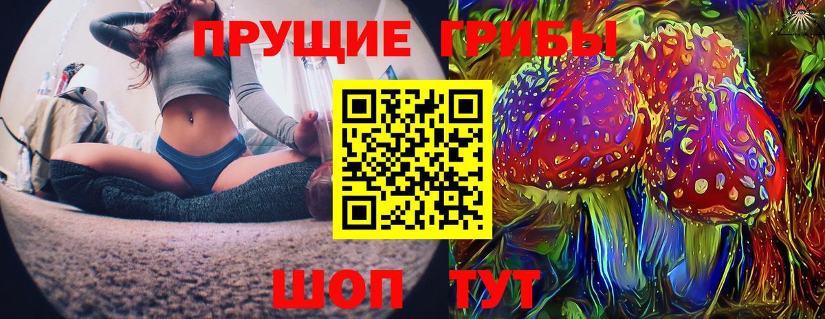 Липецк  Псилоцибиновые грибы MAGIC MUSHROOMS  Галлюциногенные грибы прущие грибы  Вход с VPN 