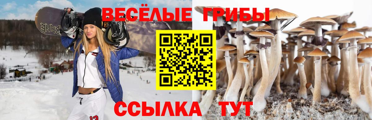 Мефедрон   Липецк  НБОМе  ТГК  Бошки Шишки  Вход с VPN  COCAIN  ГАШ  МДМА  Alpha PVP СК   ГЕРОИН 