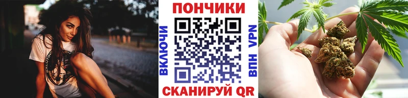 сколько стоит  Липецк  Бошки Шишки ГИДРОПОН 